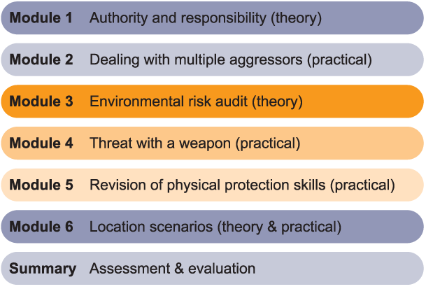 Two day workshop modules Safety Strategies